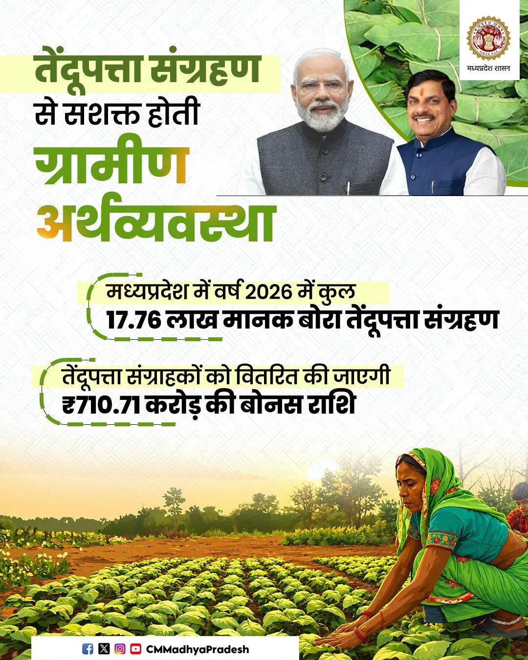 MP CM Office Announces ₹710.71 Cr Bonus for Tendu Leaf Collectors