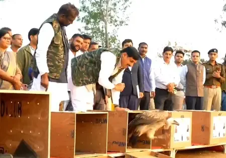 Madhya Pradesh Chief Minister Releases Endangered Vultures at Halali Dam