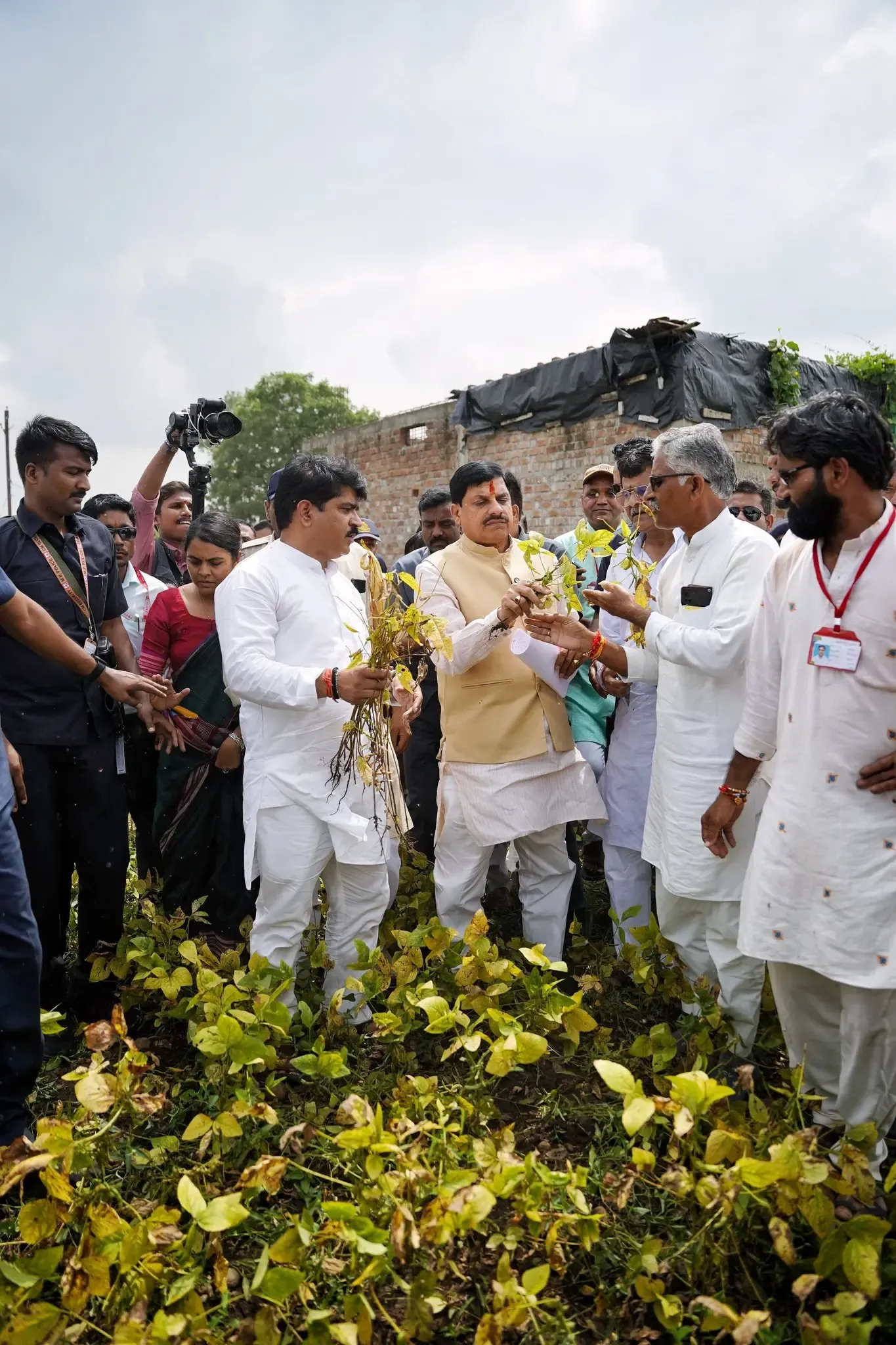 Has MP CM Reviewed Crop Damage and Ordered a State-wide Survey?