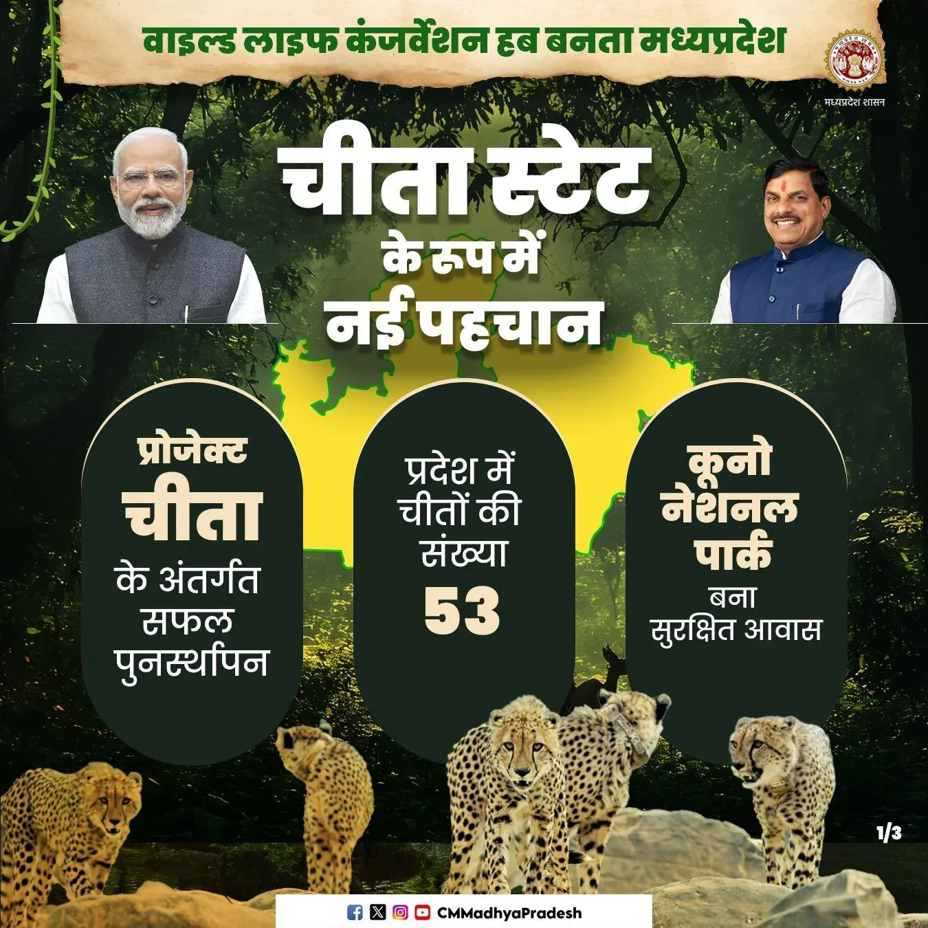 MP CMO Brands State as 'Cheetah State' Wildlife Hub