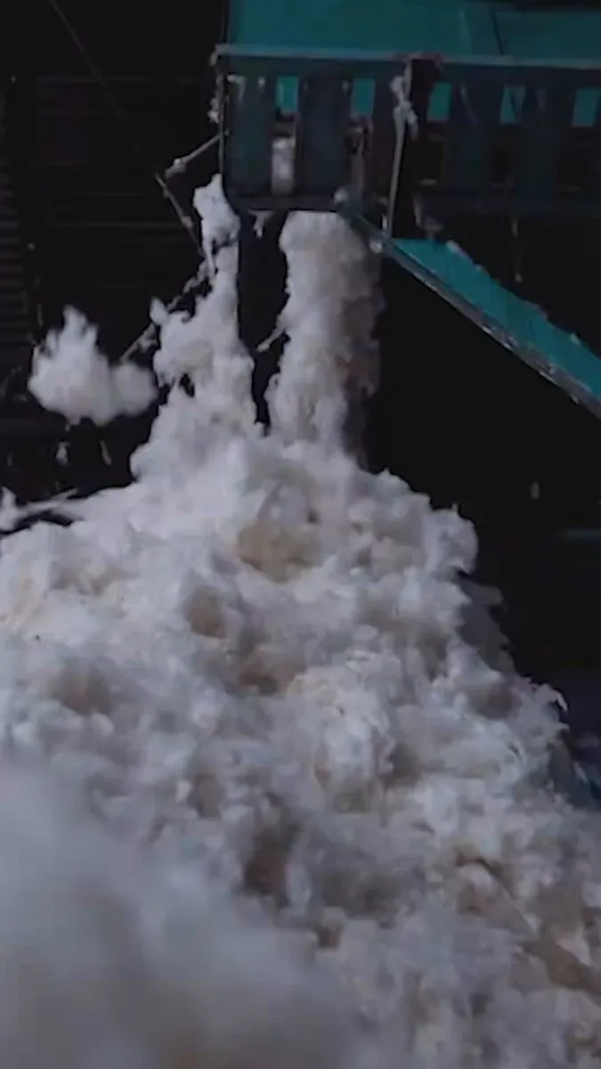 MP CMO: Organic Cotton to Textile Industry Drive