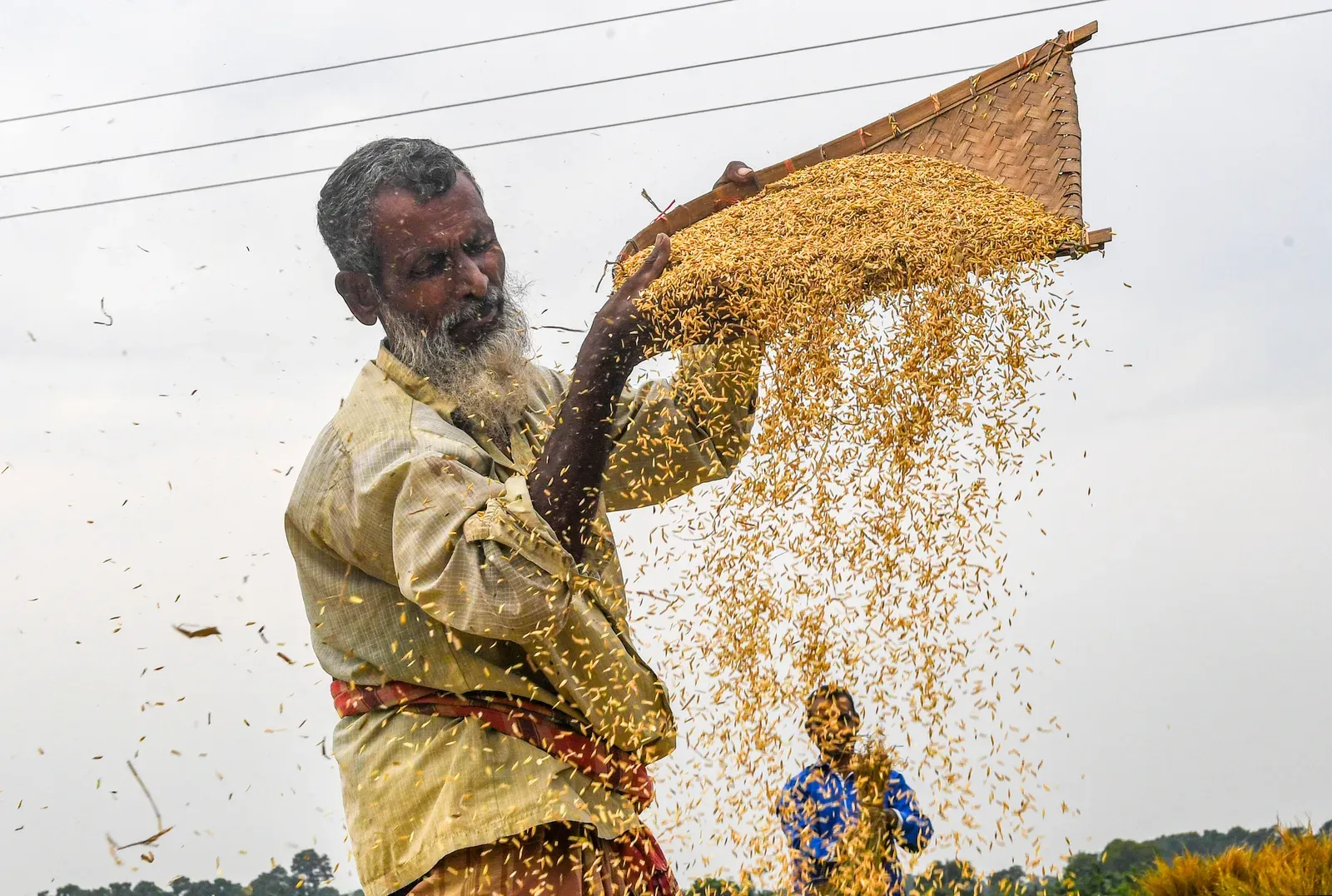 MP distributes 74.31 lakh MT of free food grains under PMGKAY since Dec 2023