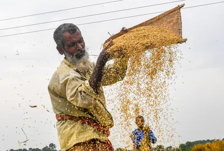 MP distributes 74.31 lakh MT of free food grains under PMGKAY since Dec 2023