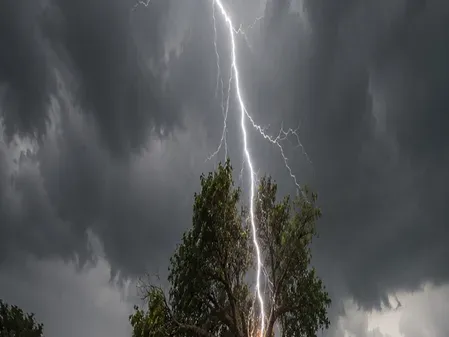 Lightning kills woman, niece in Shahdol while collecting Mahua flowers