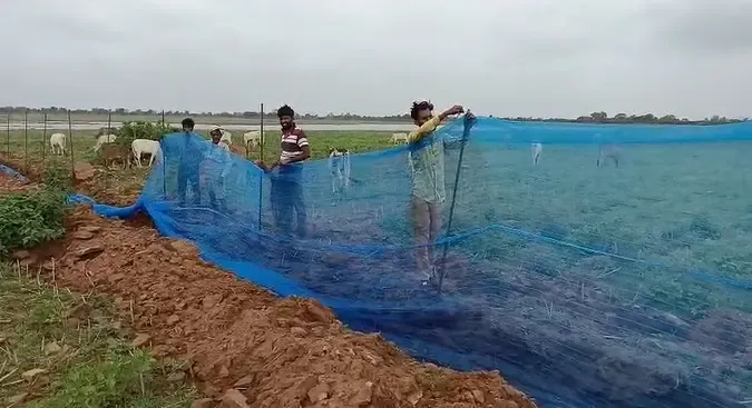 How are Neemuch fishermen benefiting from the Pradhan Mantri Matsya Sampada Yojana?