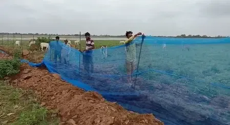 How are Neemuch fishermen benefiting from the Pradhan Mantri Matsya Sampada Yojana?