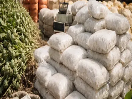 Did MP Police Really Seize Drugs Worth Rs 22 Crore in Rajgarh and Neemuch?