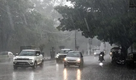 Have Rain and Hailstorms Devastated Crops in MP?