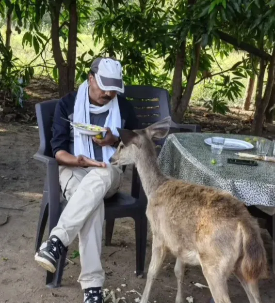 Satpura Tiger Reserve officer suspended for petting wild Sambar deer on video