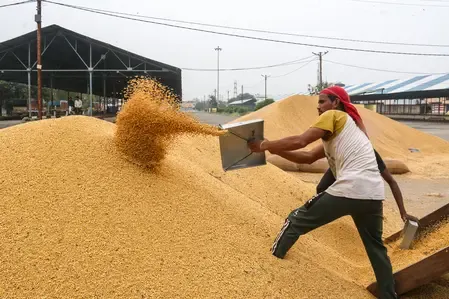 MP Bhavantar Yojana: Soybean farmer registration opens Oct 3 on e-Uparjan