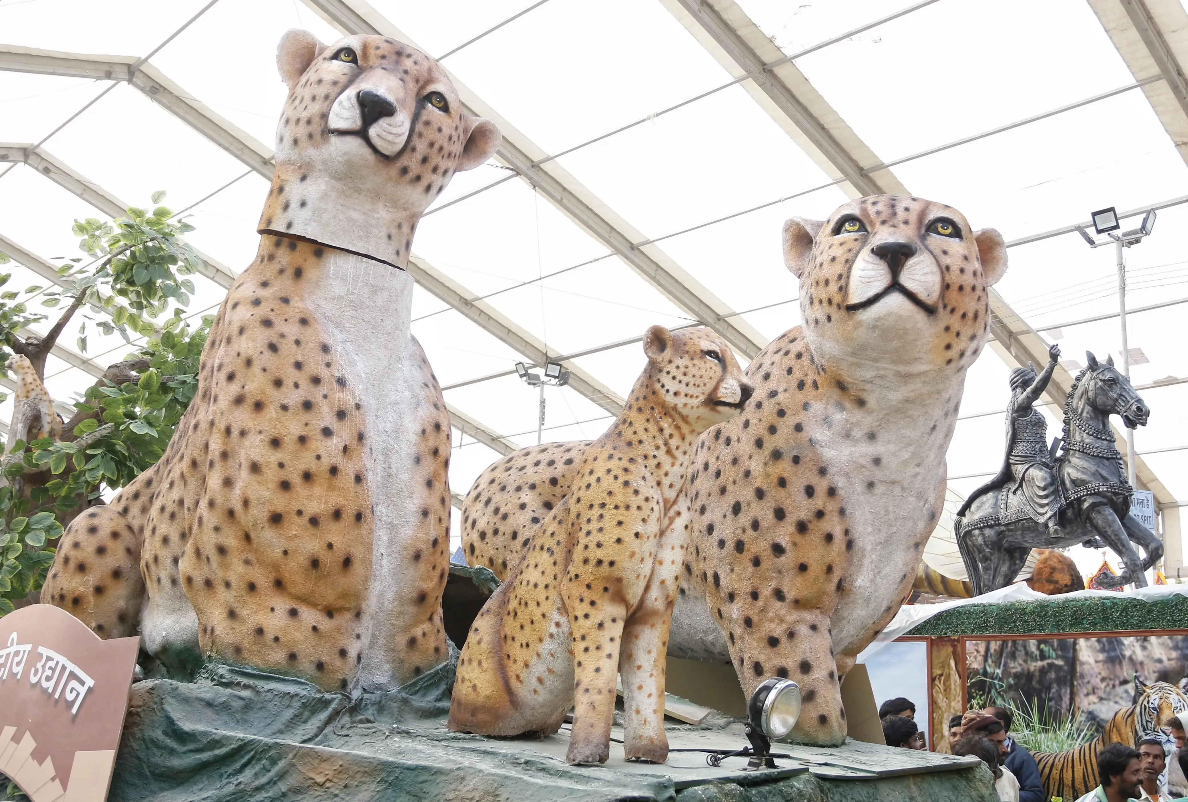 Madhya Pradesh Tableau Celebrates Cheetah Project on Republic Day