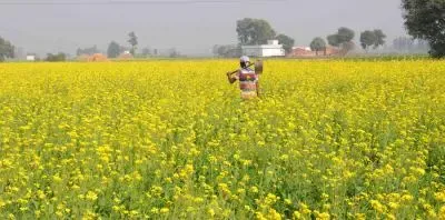 How Does the MSP Increase on Rabi Crops Reflect Government Commitment?