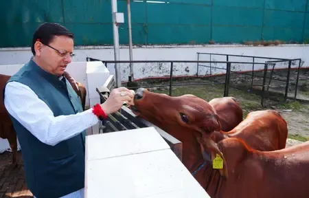 मुख्यमंत्री पुष्कर सिंह धामी ने गोवर्धन पूजा पर किया गौ माता का पूजन