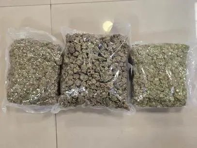मुंबई एयरपोर्ट पर चार दिन में 32.70 करोड़ रुपए का हाइड्रोपोनिक गांजा बरामद 