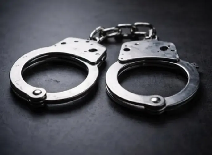 मुंबई एयरपोर्ट पर कस्टम विभाग की बड़ी कार्रवाई: 12 किलो हाइड्रोपोनिक वीड और 409 ग्राम सोना बरामद