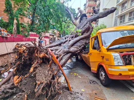 Mumbai monsoon: 4 dead, 99 tree falls, Red Alert issued on July 2