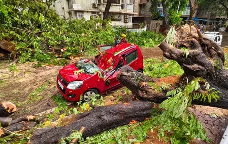 Mumbai records 380mm rainfall in 48 hrs; BMC calls special meet on July 9