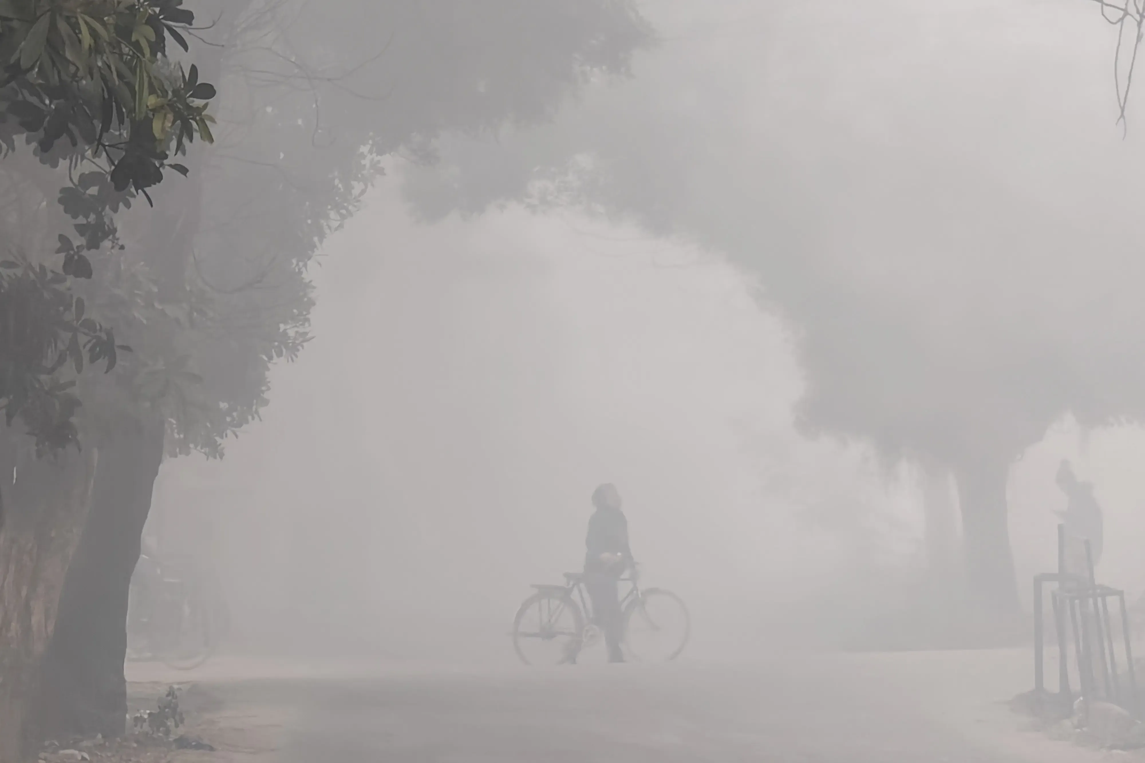 क्या मुजफ्फरपुर में पहली जनवरी तक 8वीं तक के सभी स्कूल बंद रहेंगे?