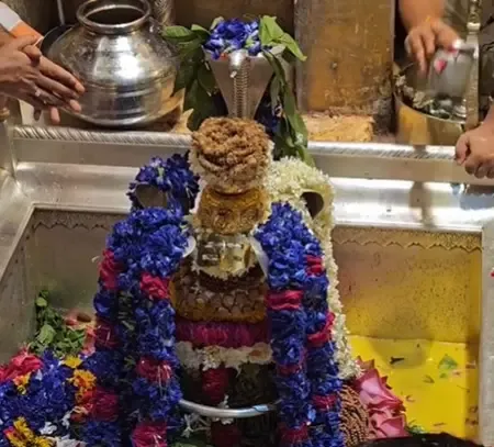 नाग पंचमी की विशेष पूजा से मिलेगी संकटों से मुक्ति, मिटेगा दोष 