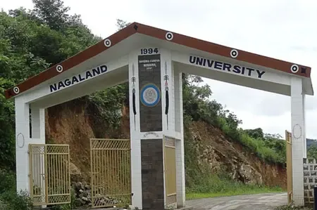 Nagaland University’s biodegradable gelatin-electrolyte to boost performance of supercapacitors