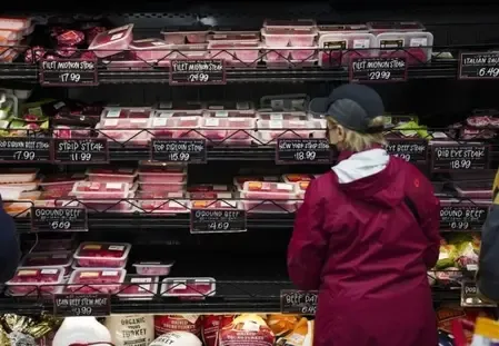 Namibia Implements FMD Control Area to Secure Meat Export Status