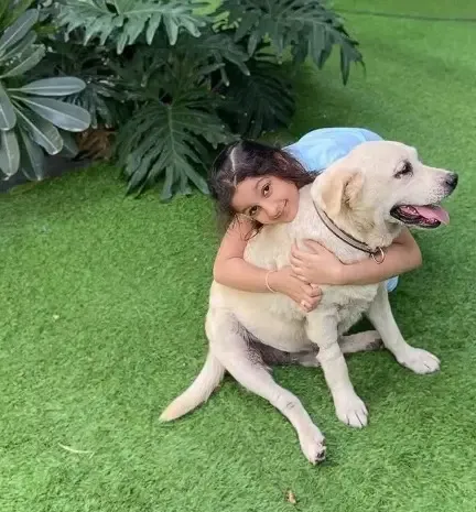 Why is Namrata Shirodkar mourning the loss of her first ‘little big baby’?