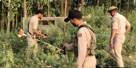 नशा मुक्त जम्मू-कश्मीर अभियान के सौ दिन पूरे, बारामूला पुलिस को मिली बड़ी सफलता