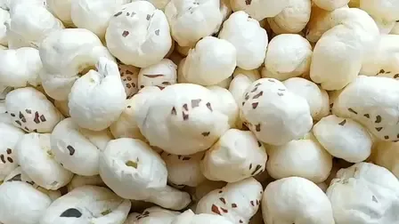How is Makhana Positioned as Bihar’s Rural Growth Engine?