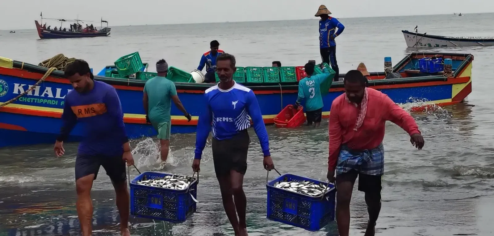 What is the Upcoming Nationwide Marine Fisheries Census?