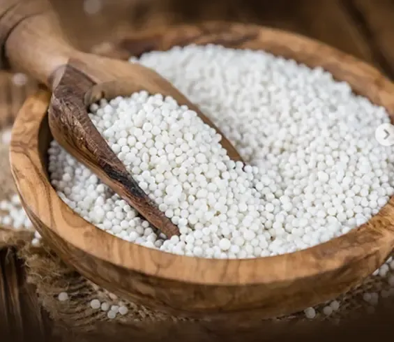 नवरात्रि के दौरान सेहत का ख्याल रखें: साबूदाना का पौष्टिक आहार