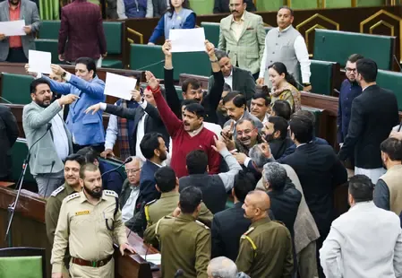 Did NC and BJP MLAs Clash in Assembly Over J&K's Special Status?