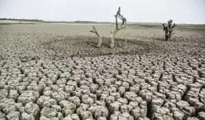 Nearly 200 countries commit to prioritise land restoration, drought resilience
