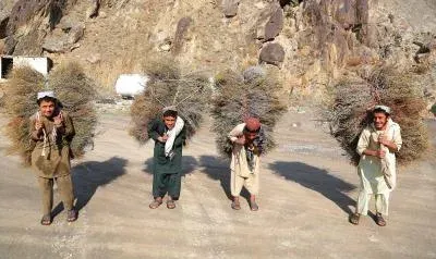 28 million Afghans unable to meet basic needs, UNDP warns in 2025 report