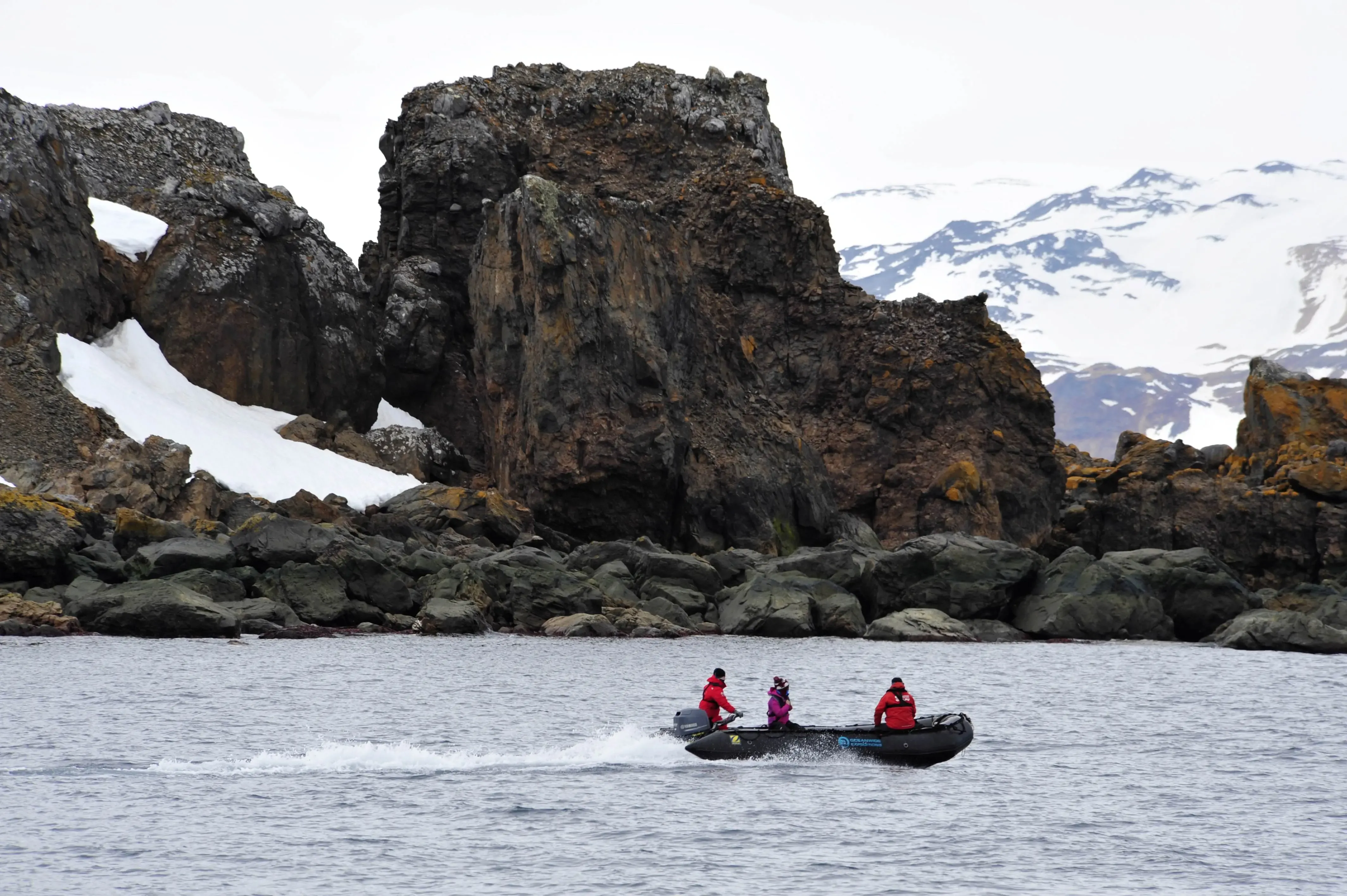 Innovative Australian Map Aims to Bolster Biodiversity Conservation in Ice-Free Antarctica