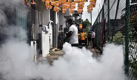 New dengue strain in Sri Lanka raises infection risk; prevention week begins June 15