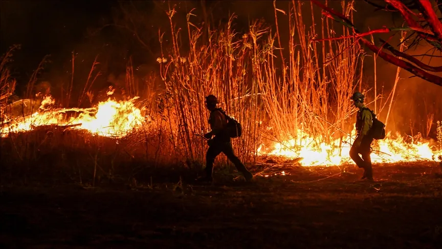 Recent Wildfire in Los Angeles Expands Beyond 500 Acres