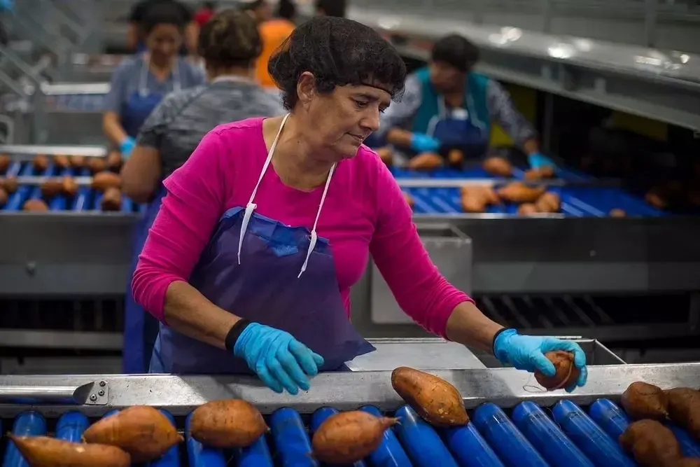 Increased Meat Export Prices Enhance New Zealand's Global Purchasing Power