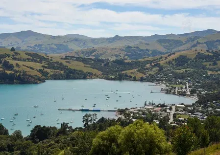 New Zealand education exports hit NZ$5 billion, surpassing 2019 pre-COVID peak