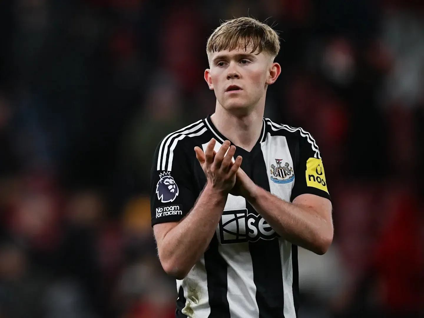 Lewis Hall of Newcastle to Undergo Surgery, Out for Season