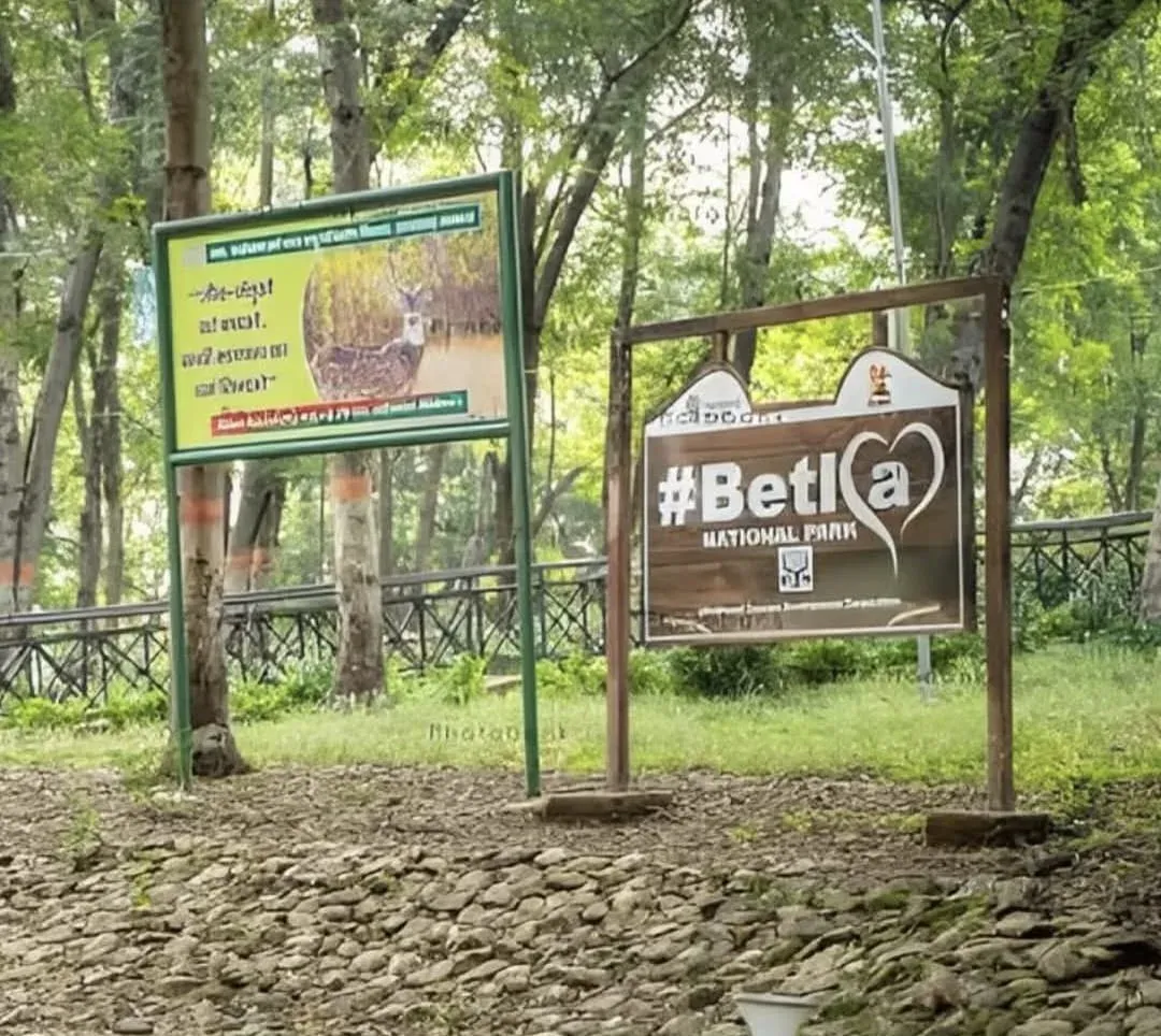 NGT issues notice on Palamu Tiger Reserve, Netarhat eco-sensitive zone construction