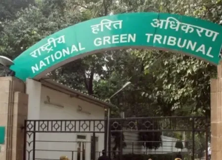 एनजीटी ने गाजियाबाद के सिटी फॉरेस्ट में 70,000 पेड़ों को कथित तौर पर नष्ट किए जाने के मामले में नोटिस जारी किया