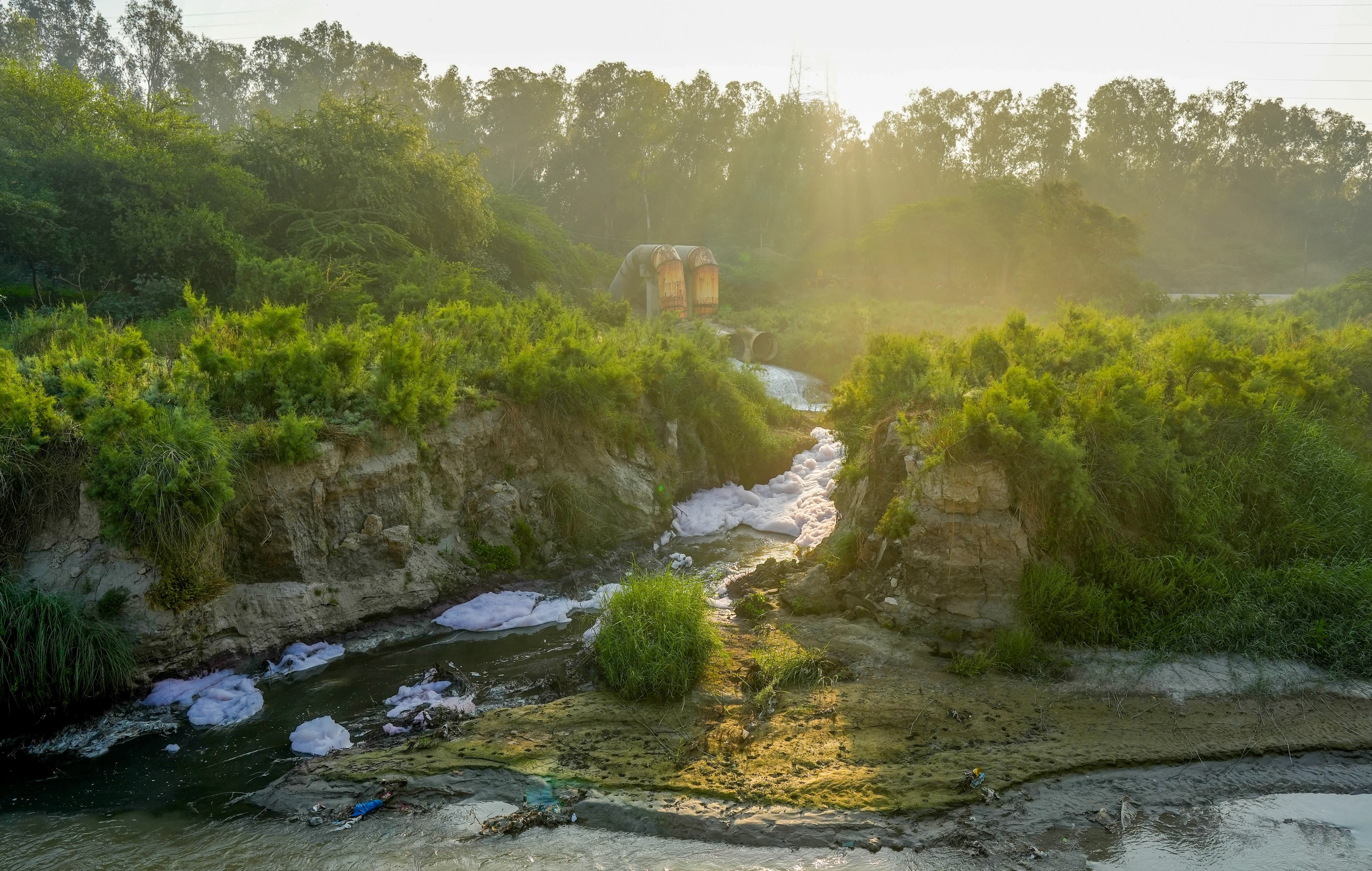 Has the NGT Addressed the Issue of 'Illegal' Bleaching Units in Haryana’s Panipat?
