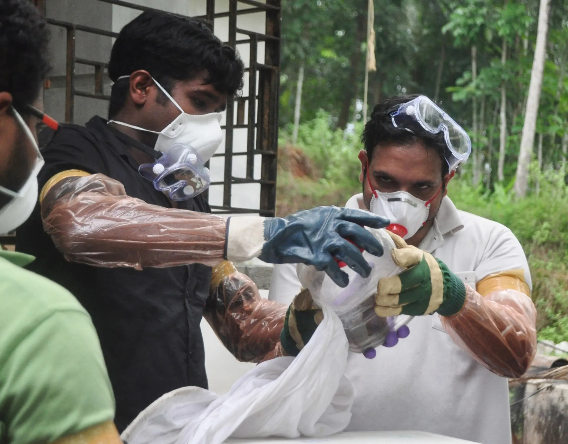 Are NIMR Teams Testing Bats for the Nipah Virus at Alipore Zoological Garden?