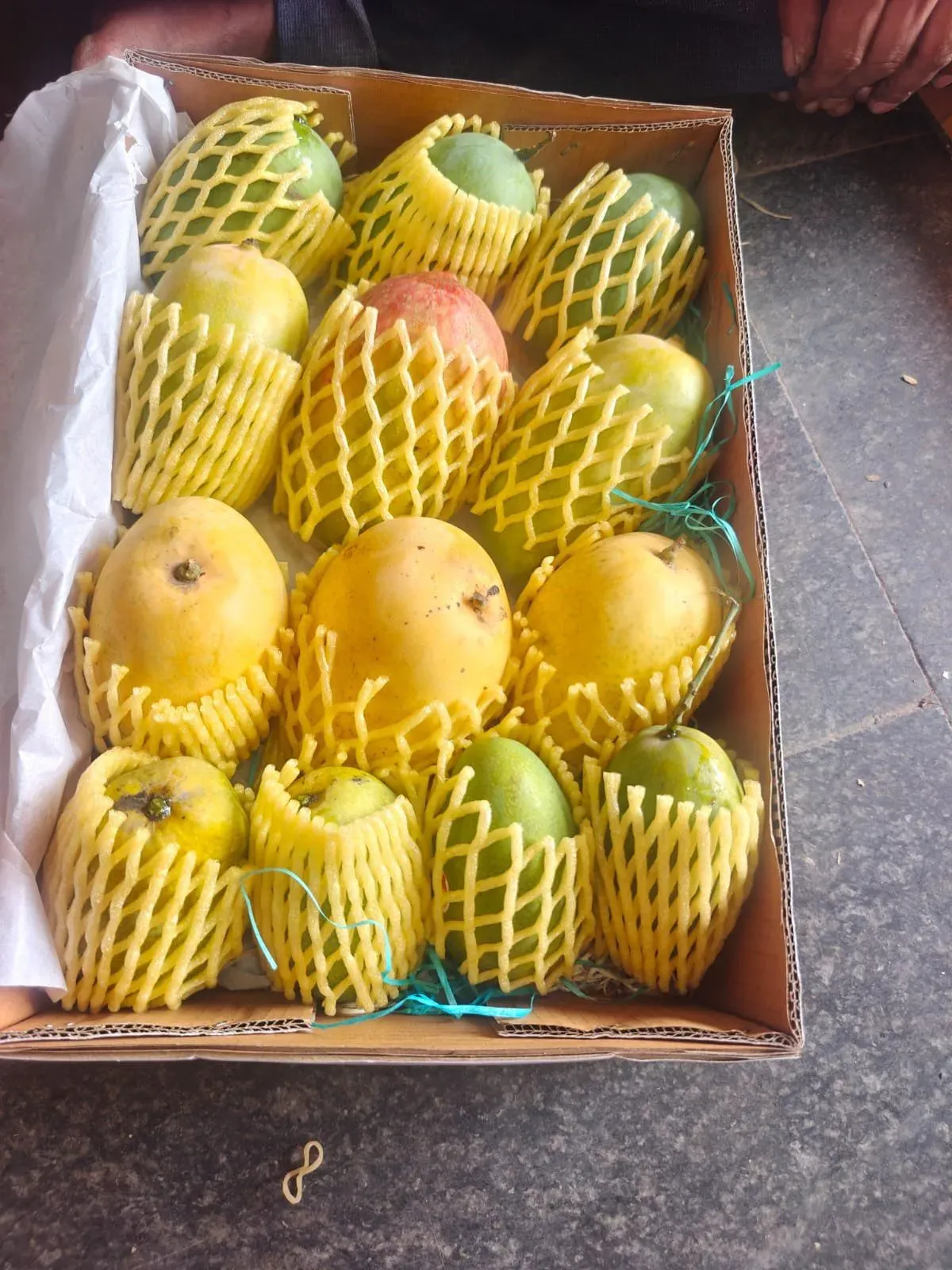 BJP chief Nitin Nabin sends premium Indian mangoes to diplomats from 82 countries