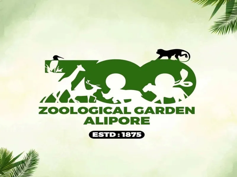 Did any animal go missing from Alipore Zoo?