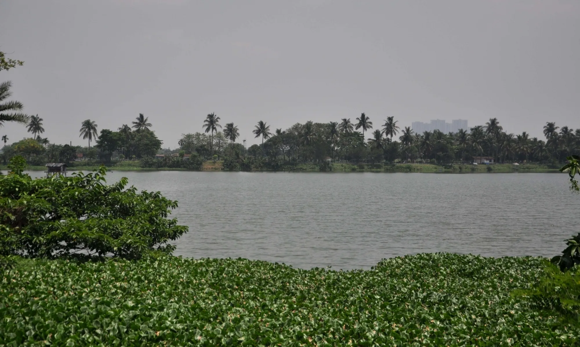 Will Kolkata's Wetlands Be Protected from Illegal Constructions?