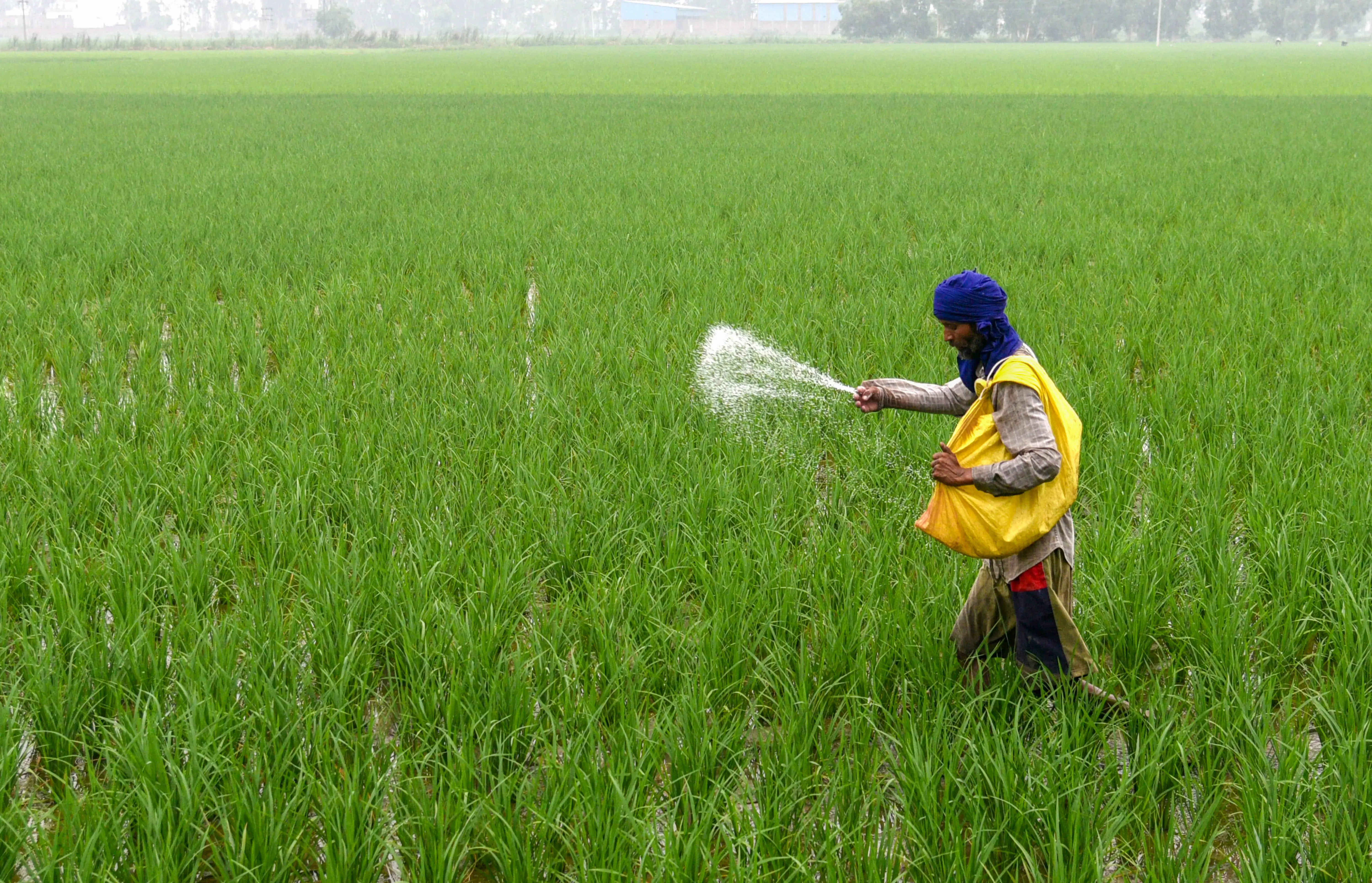 Centre Assures No Increase in Urea Prices Amid Policy Changes