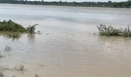 नोएडा में बाढ़ का अलर्ट, लोगों से सुरक्षित स्थानों पर जाने की अपील 