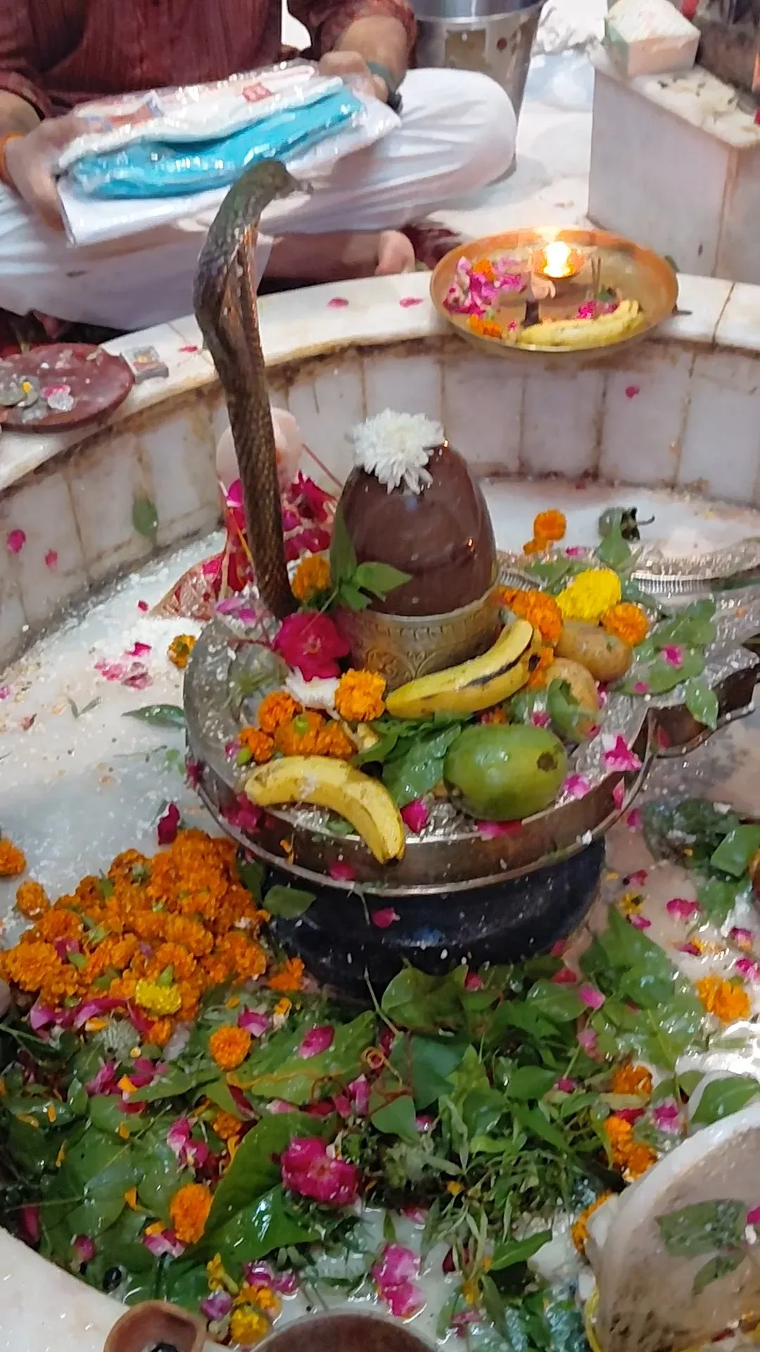 सावन के आखिरी सोमवार पर नोएडा के शिव मंदिरों में उमड़े हजारों भक्त, 28 अगस्त को समाप्त होगा सावन