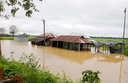 What is the Estimated Loss of State Property Due to the North Bengal Disaster?